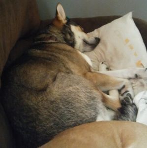 Meet your Posher, Christie